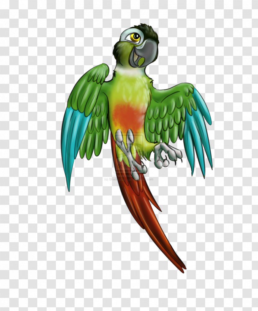 Budgerigar Lovebird Parrot Macaw Conure Transparent PNG