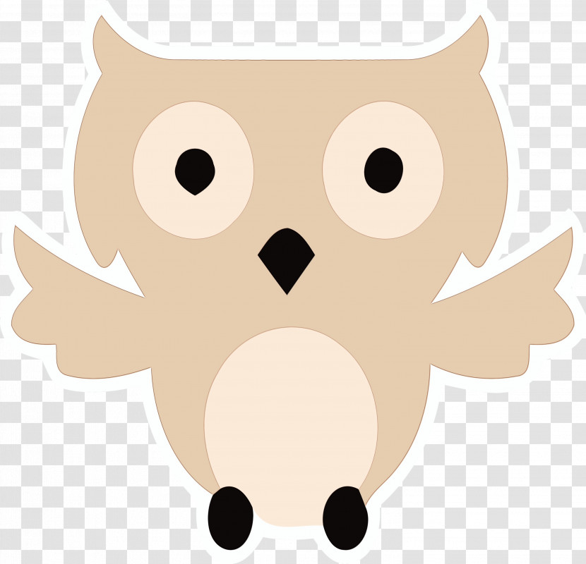 Snout Birds Beak Cartoon Owl M Transparent PNG
