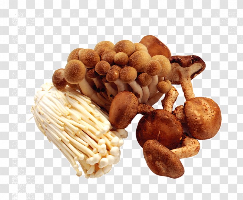 Mushroom Kombucha Food Pantothenic Acid Vitamin - Junk - Pictures Transparent PNG