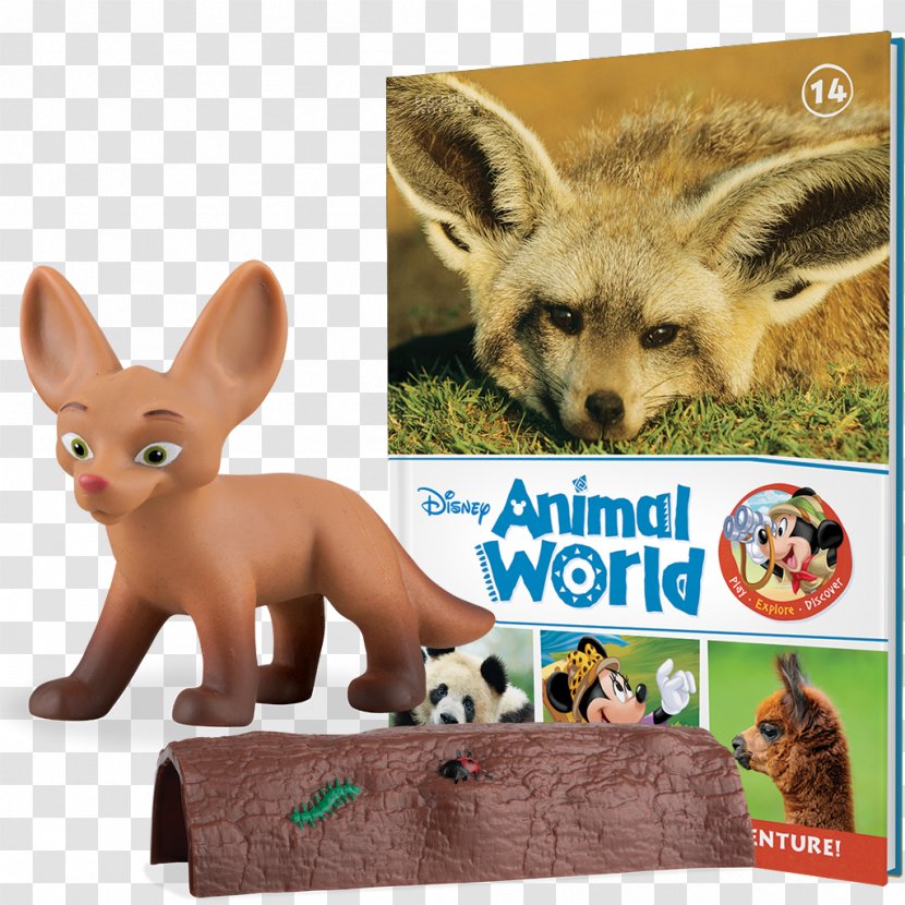 Animal Bat-eared Fox The Walt Disney Company Nature - Baby Milo Transparent PNG