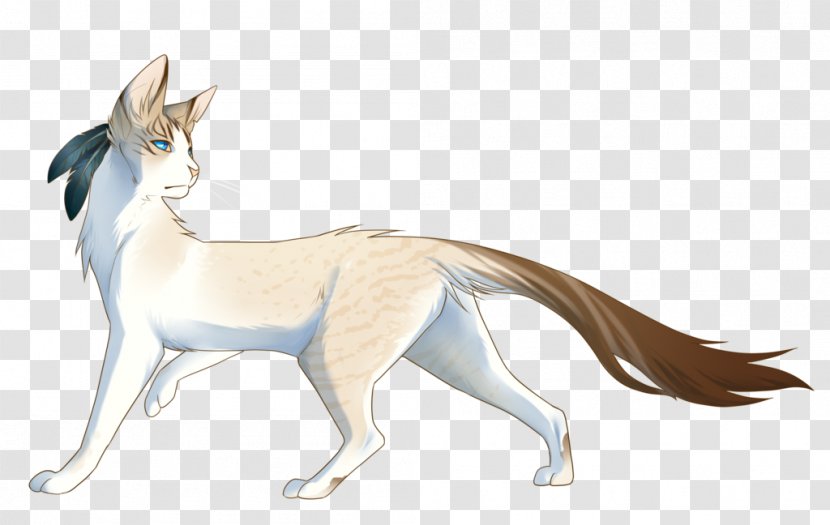 Whiskers Red Fox Cat Tail - Wing Transparent PNG