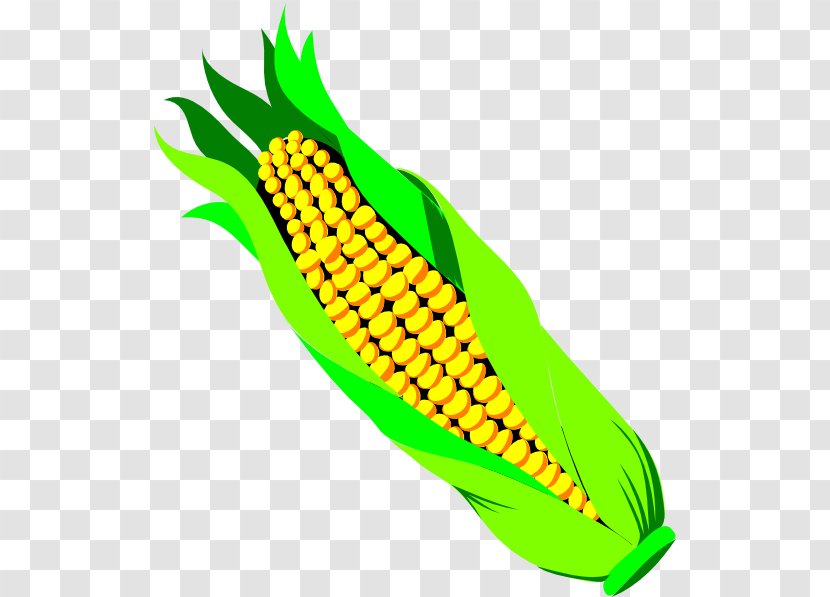Corn On The Cob Candy Vegetable Sweet Clip Art - Commodity - Cliparts Transparent PNG