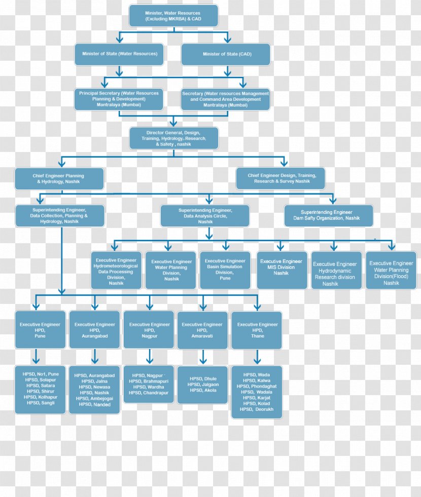 Organizational Chart Structure Company - Organization Transparent PNG