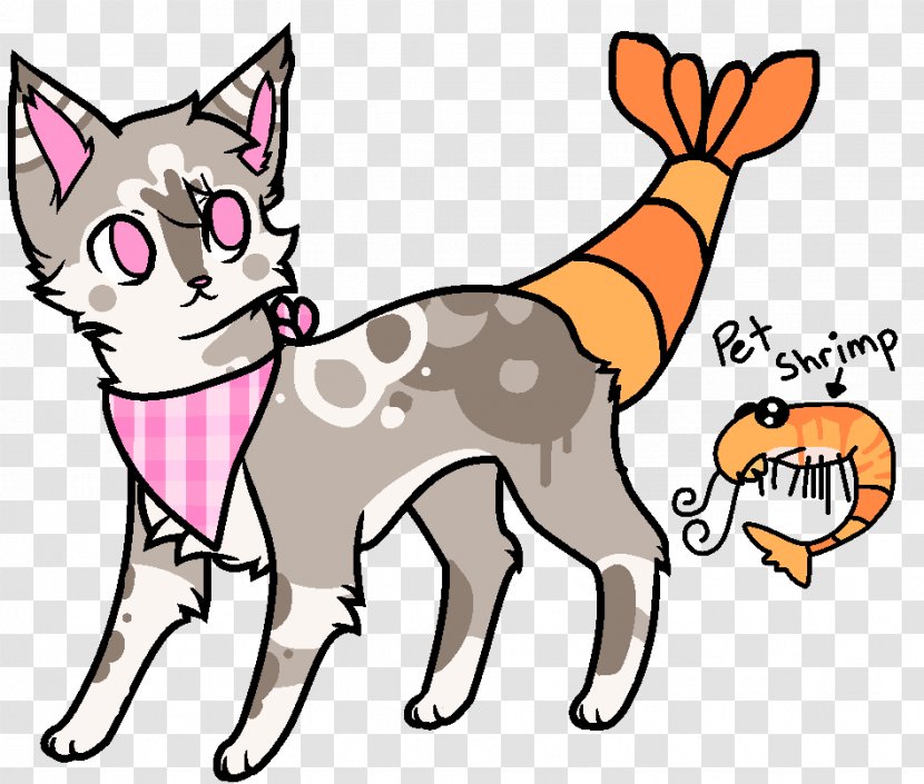 Whiskers Kitten Cat Dog Breed - Carnivoran Transparent PNG