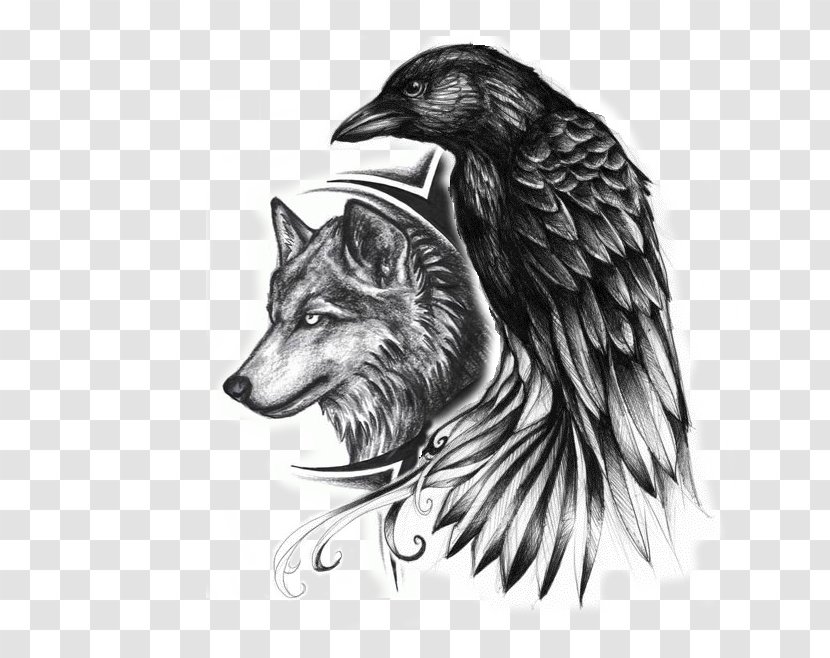 Common Raven Indian Wolf Tattoo Drawing - Dog Like Mammal - Indianer Transparent PNG