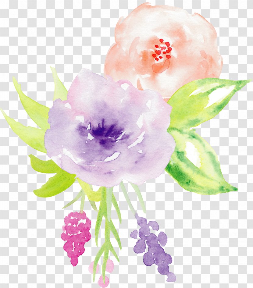 Hand-painted Watercolor Roses Decorative Elements - Rose Order - Painting Transparent PNG
