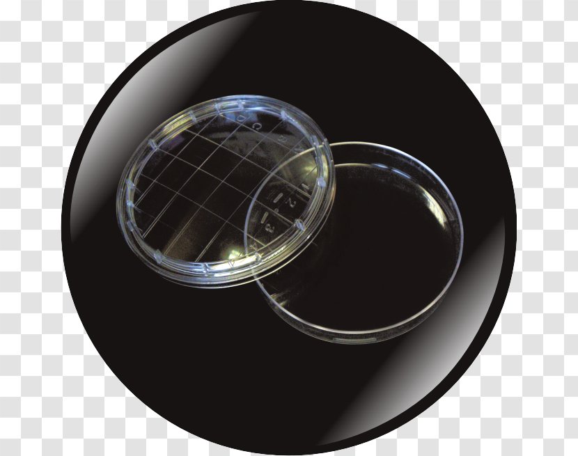 Petri Dishes Sterilization Plastic Diameter Transparent PNG