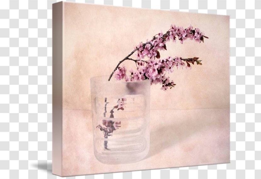 Still Life Photography Blossom Flower - Pink Transparent PNG