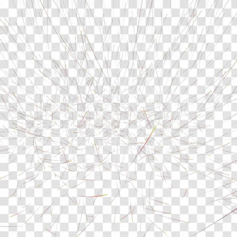 White Twig Line Art Pattern - Black And Transparent PNG