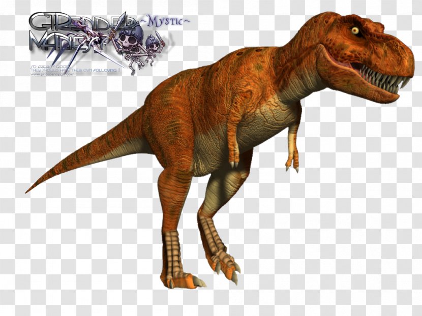 Tomb Raider: Anniversary Tyrannosaurus Rex Velociraptor Spinosaurus Tyrannosauridae - Geology - T Transparent PNG