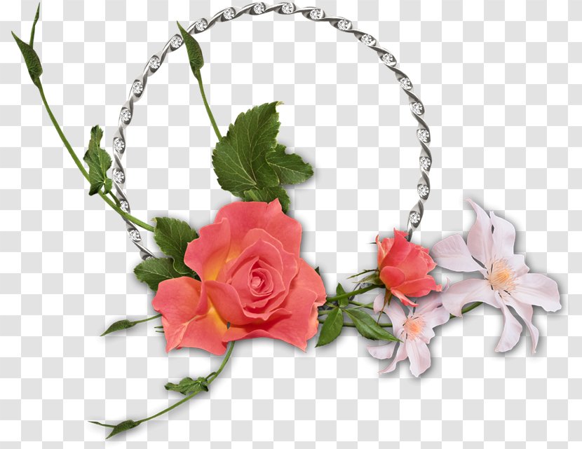 Garden Roses Cut Flowers Floral Design Fillet - Rose Order - Fq Transparent PNG