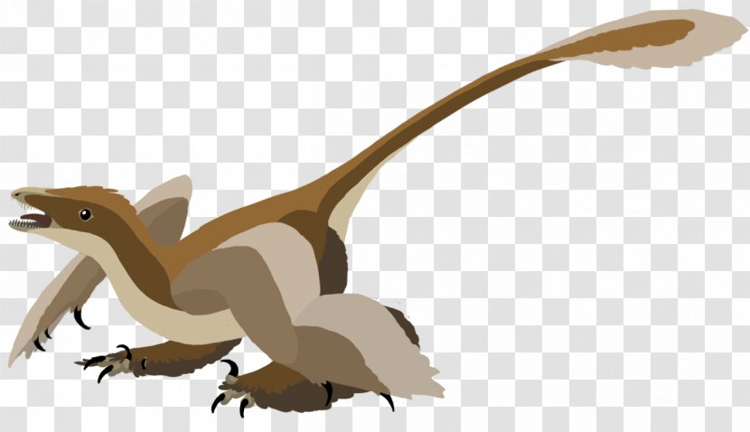 Velociraptor Sinornithosaurus Dinosaur Theropods Dromaeosaurids - Wildlife Transparent PNG