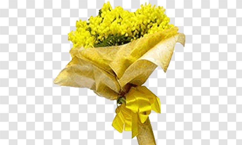 Acacia Dealbata Cut Flowers Rose International Women's Day - Floristry - Mimosa Transparent PNG
