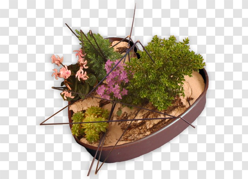 Herb Flowerpot - Fried Shrimp Transparent PNG