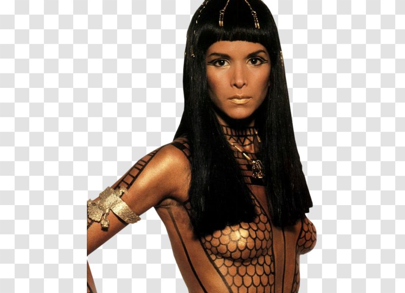 Patricia Velásquez Anck Su Namun The Mummy High Priest Imhotep Meela Nais - Brown Hair - Model Transparent PNG