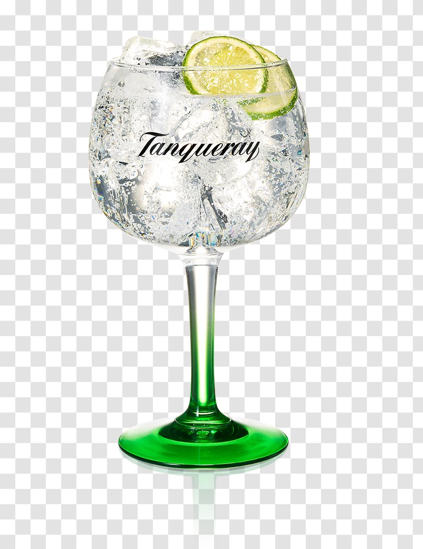 Tanqueray Gin And Tonic Water Distilled Beverage - Food - Drink Transparent PNG