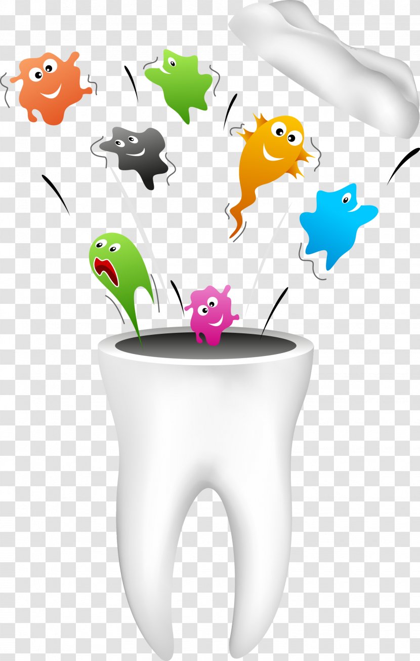 Dentistry Human Tooth Dental Hygienist - Organism - Teeth Transparent PNG