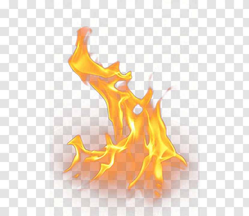 Light Flame Fire Conflagration - Point - Big Closeup Transparent PNG
