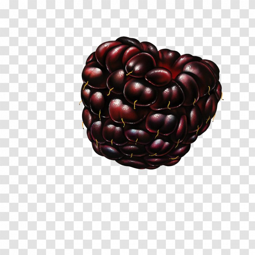 Fruit Raspberry Blackberry Mulberry - Pomegranate Transparent PNG