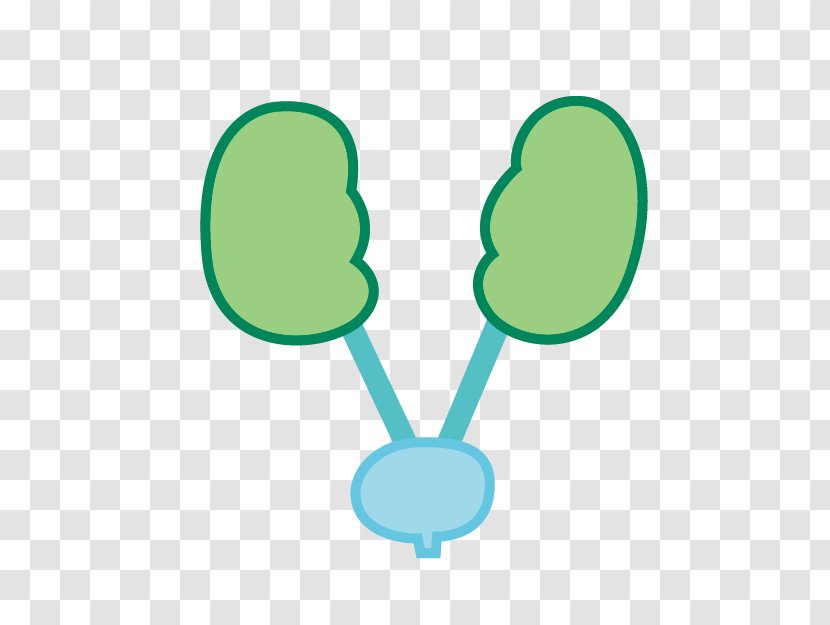 Yin Yang - Spleen - Green Human Body Transparent PNG