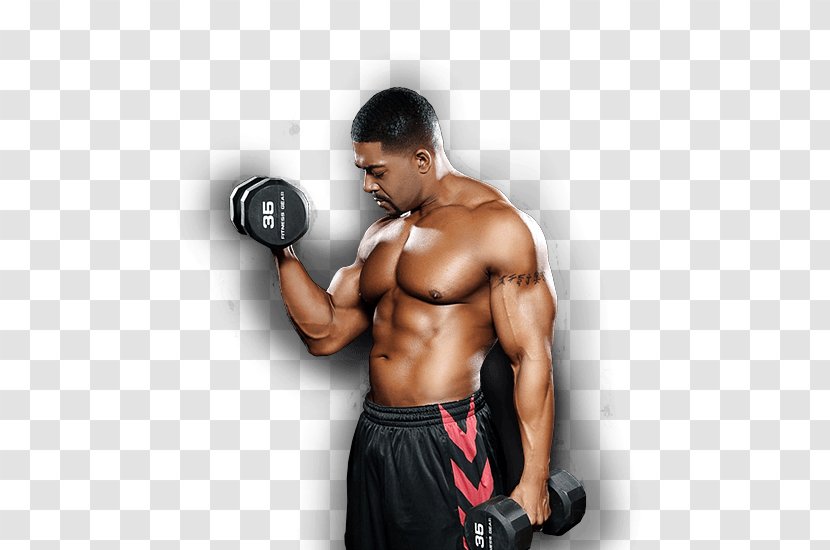 Weight Training Medicine Balls Professional Wrestler Lawyer - Watercolor - Bodybuild Transparent PNG