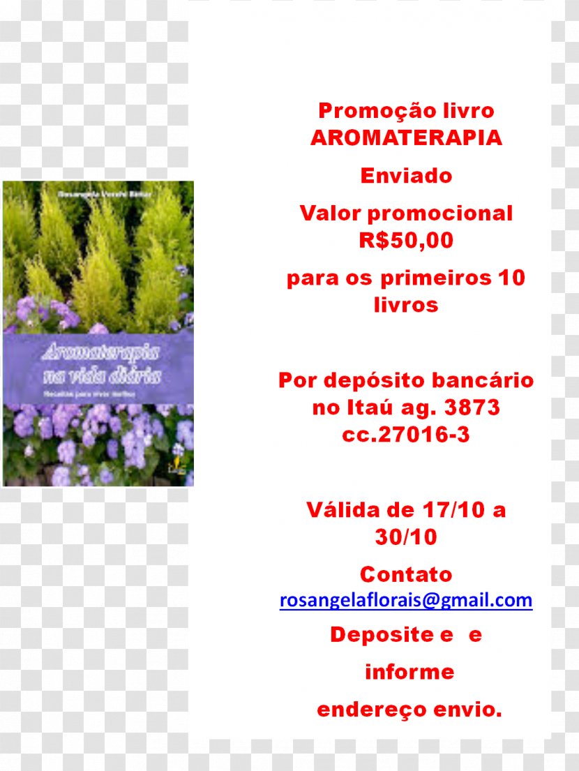 Advertising Flowering Plant Plants Font - Media - Flower Transparent PNG