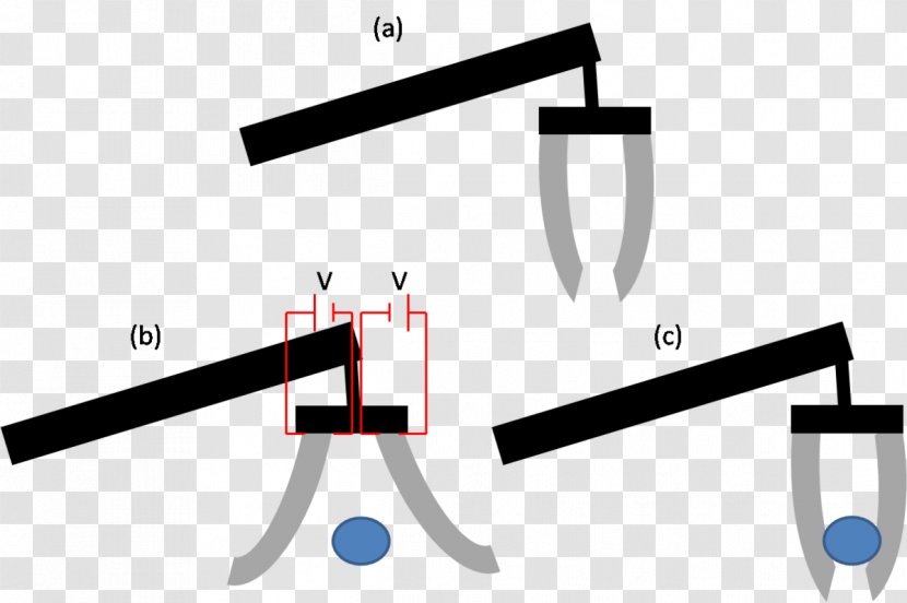 Electroactive Polymers Conductive Polymer Liquid-crystal Actuator - Rectangle Transparent PNG