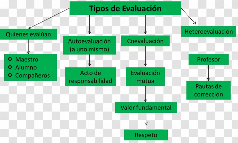 Evaluation Formative Assessment Curriculum Educational - Diagram - Wedding Hair Transparent PNG