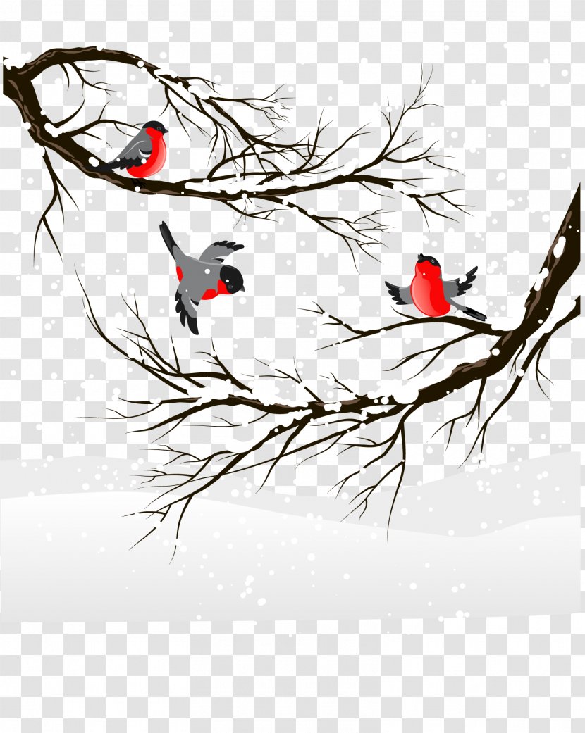 Winter Birds - Feather - Snow Transparent PNG