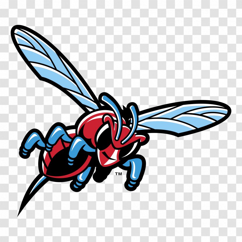 Delaware State University Hornets Men's Basketball Football Women's - Fly Transparent PNG