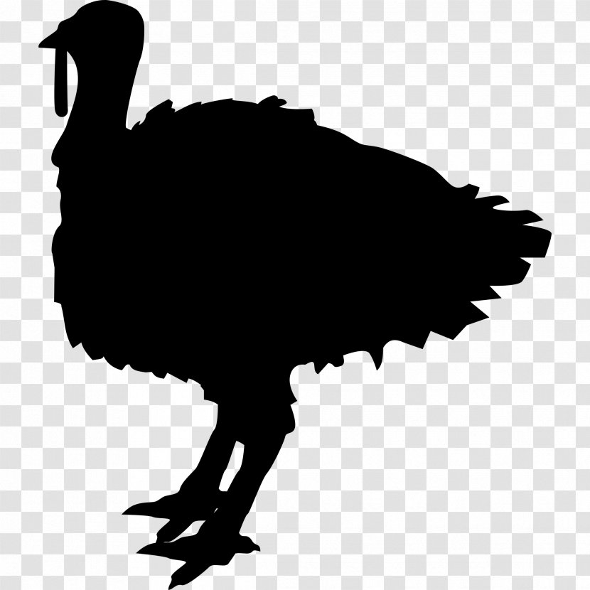 Black Turkey Jerky Meat Clip Art - Bird Transparent PNG