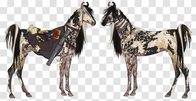 Mustang Foal Stallion Mare Colt - Horse Like Mammal Transparent PNG