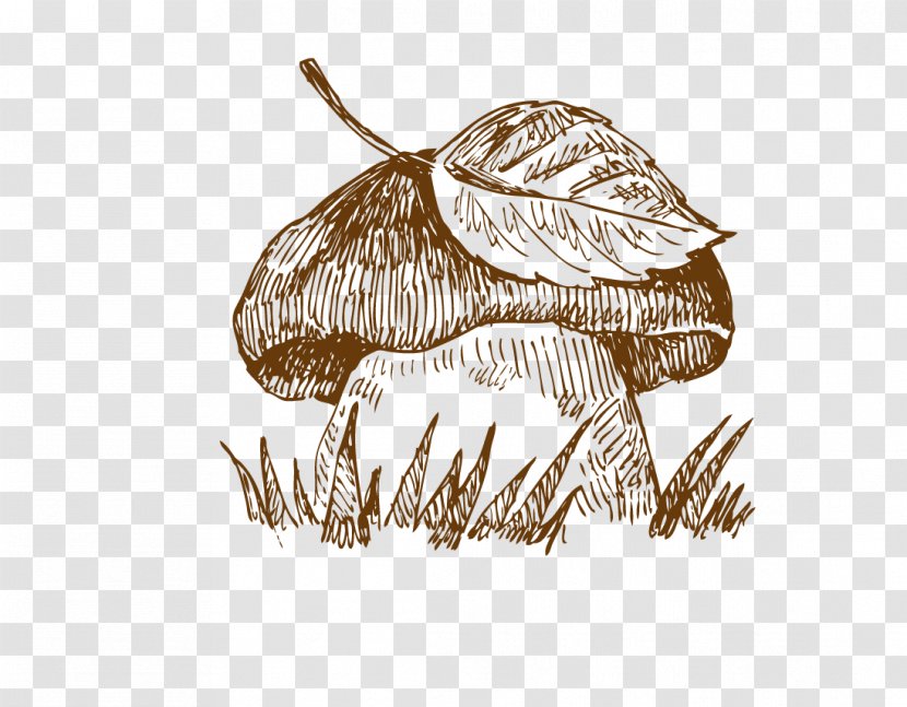 Hamburger Italian Cuisine Pizza Drawing Edible Mushroom - Tree - Hand Drawn Mushrooms Transparent PNG