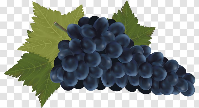 Red Wine Common Grape Vine Bottle - Blueberry - A Bunch Of Grapes Transparent PNG