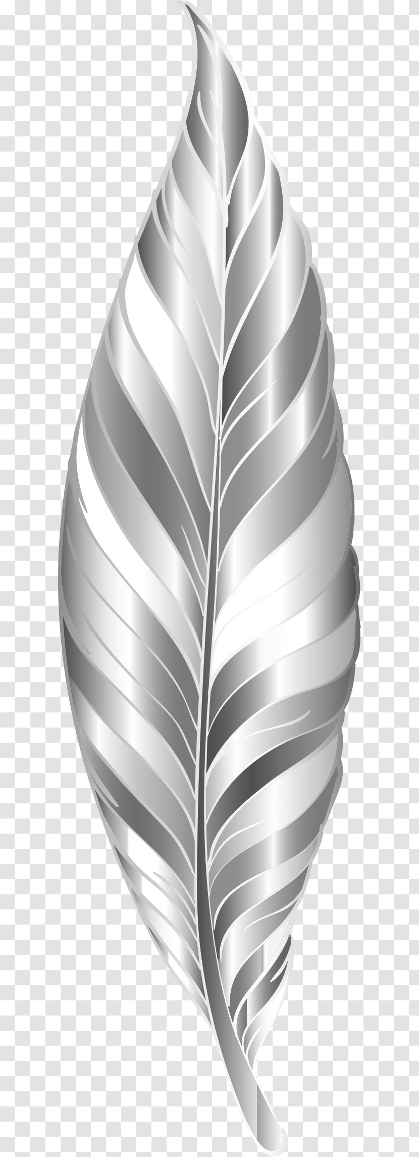 Clip Art - Search Box - Feather Transparent PNG