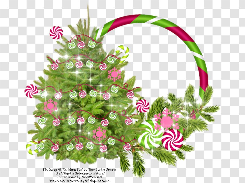 Floral Design Christmas Ornament Pine Leaf - Family Transparent PNG