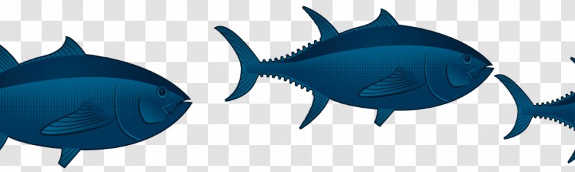 Requiem Sharks Marine Mammal Tuna Biology Fish - Vertebrate - Mutton Hotpot Transparent PNG