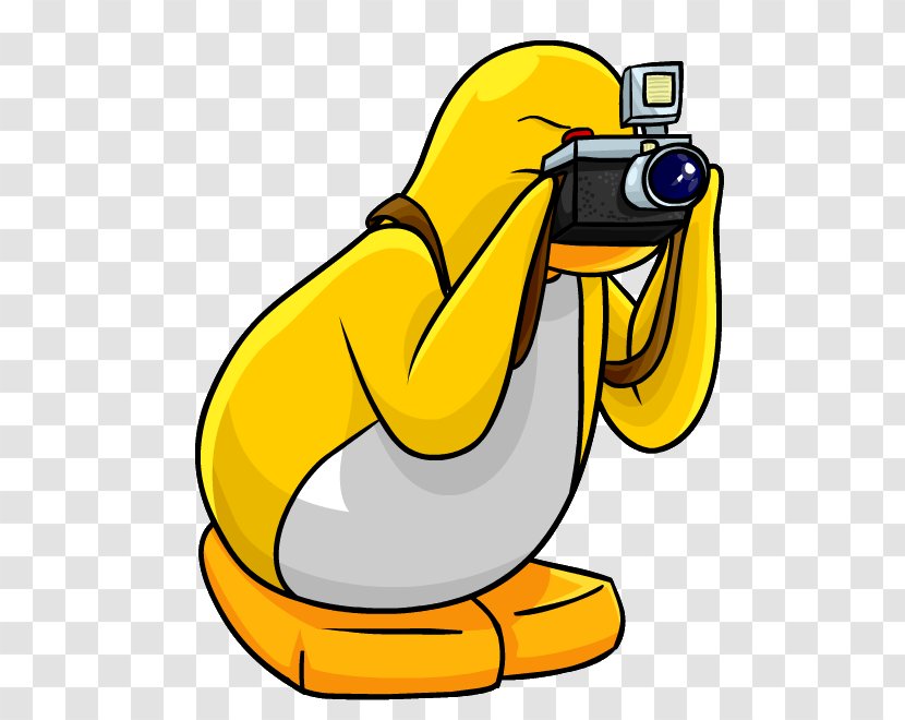 Club Penguin Clip Art Photographer - Wiki - Penguins Transparent PNG