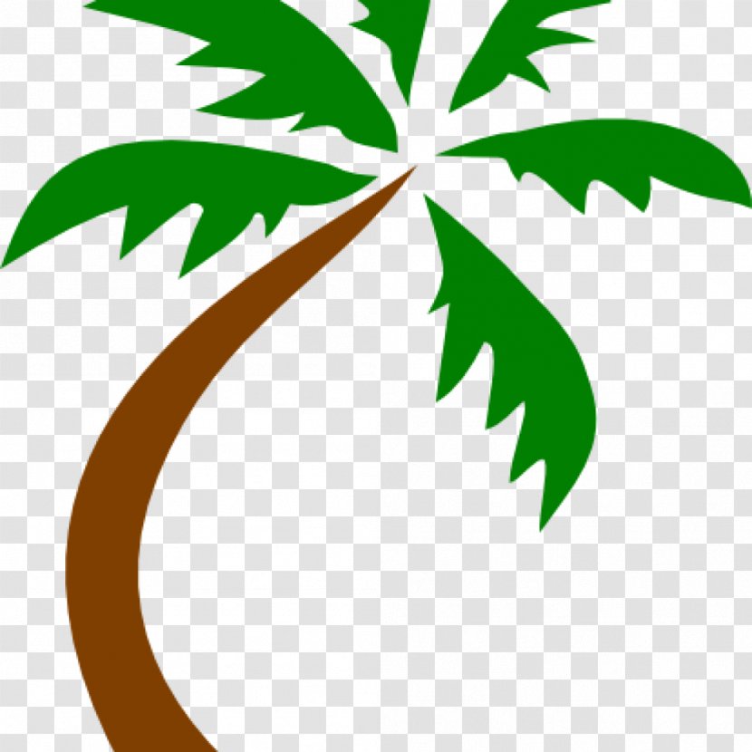 Clip Art Palm Trees Transparency Vector Graphics - Plant - Bordr Illustration Transparent PNG