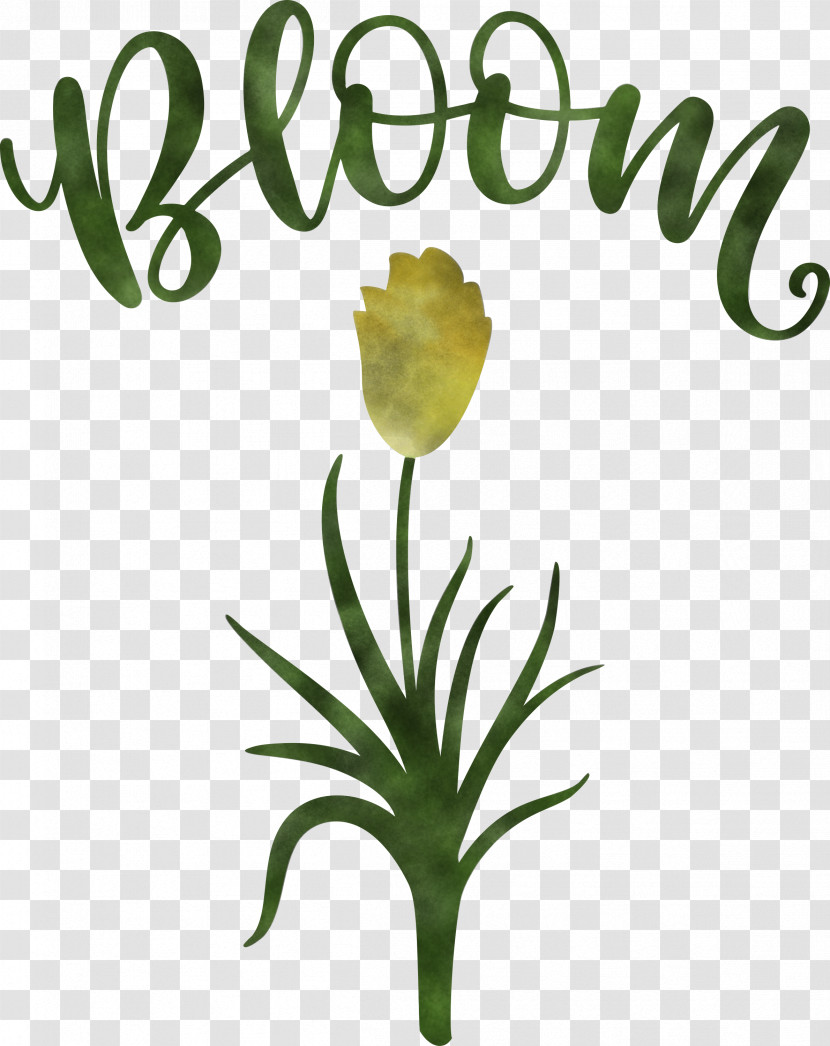 Bloom Spring Flower Transparent PNG