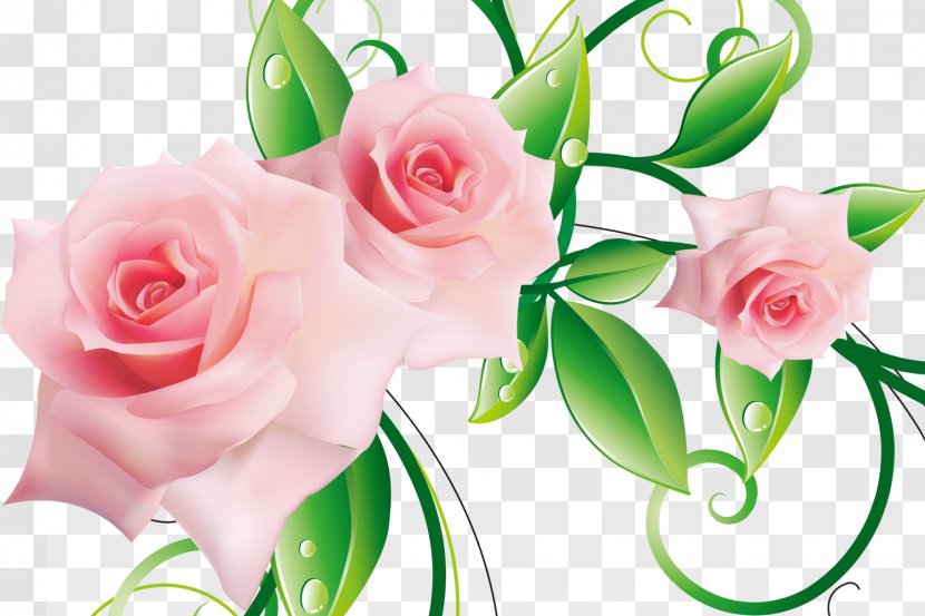 Garden Roses Pink Three-dimensional Space Flower - Plant Transparent PNG