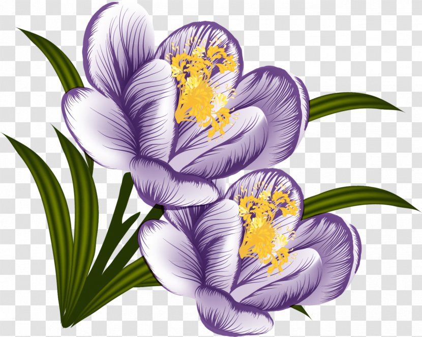 Crocus Clip Art - Fictional Character Transparent PNG