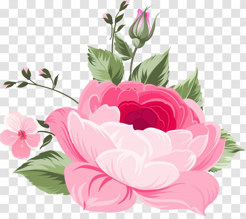 Flower Watercolor Painting - Flowering Plant - Cock Transparent PNG