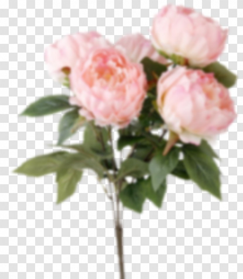 Garden Roses Peony Flower Bouquet Silk - Artificial Transparent PNG
