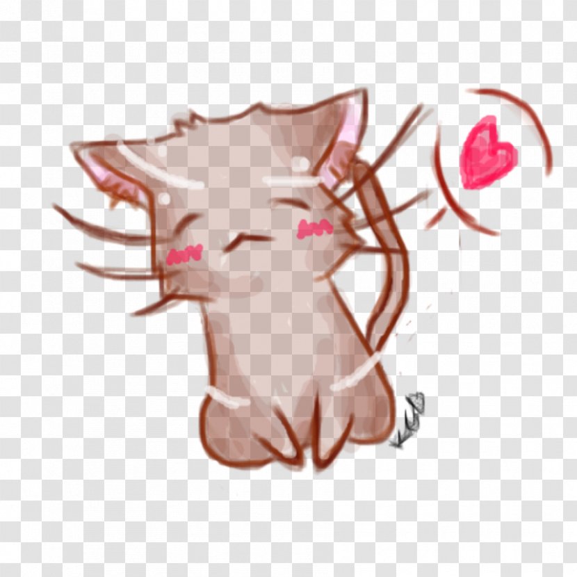 Kitten Cat Pig Cuteness - Heart Transparent PNG