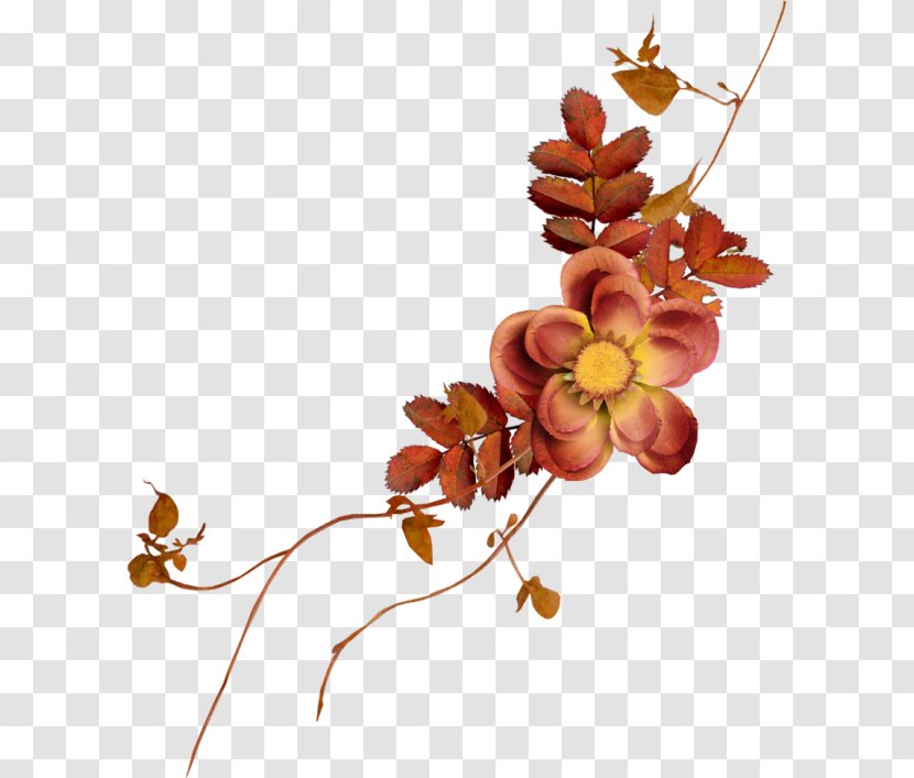 Twig Leaf Plant Stem Floral Design Petal - Painting Transparent PNG