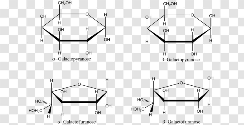 Galactose L-Glucose Haworth Projection Carbohydrate - Symmetry - Openchain Compound Transparent PNG