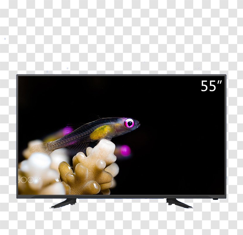 Television Liquid-crystal Display Device - Liquidcrystal - LCD TV Transparent PNG