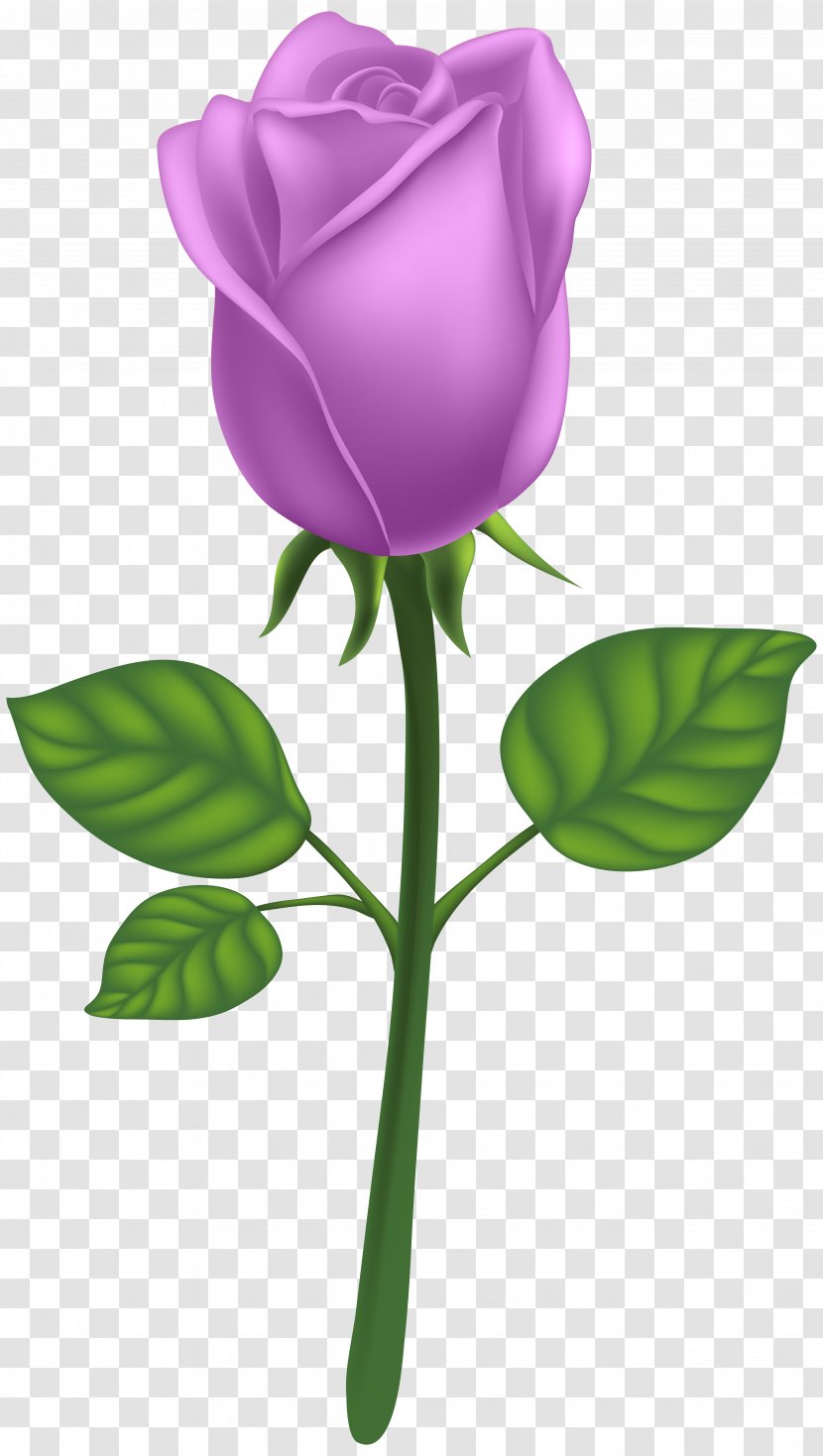 Raster Graphics Drawing - Bud - Purple Deco Rose Clip Art Image Transparent PNG