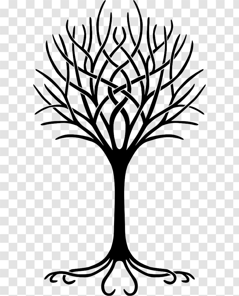 Symbol Temple Beth Ahm Yisrael Idea Tree Of Life Judaism - Inspiration Transparent PNG